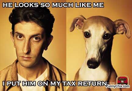 Gotax2's tweet photo. Happy Tuesday! http://t.co/NhqxRRh2uq