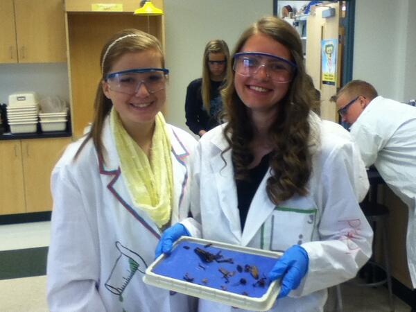 south_jessica's tweet image. Me and Ally in biology with Kevin!🐜 #ActuallyWasFun #MissYouKevin