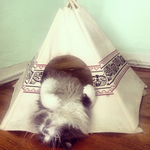 Photo by Cat Tipi (@cat_tipi)