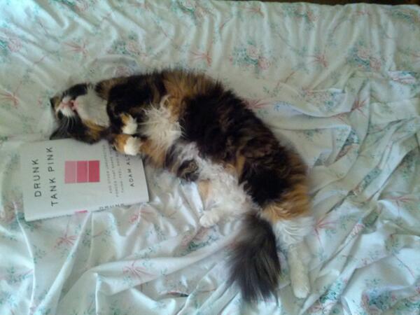 Sam Maglio tweet media