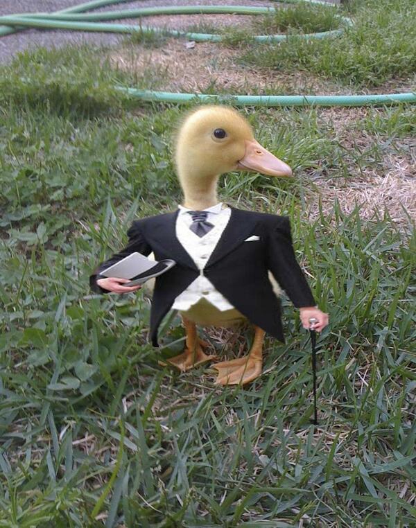 Prom