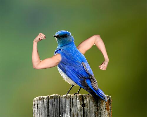 Flexing