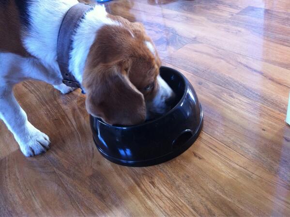 Porridge after our run in the sunshine ☀☀☀☀☀☀☀☀☀☀☀☀