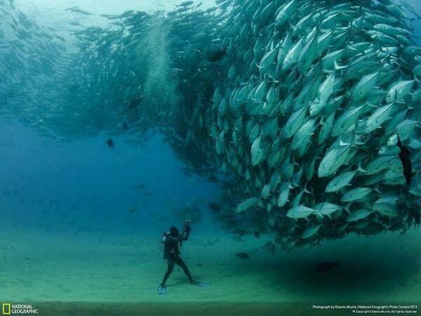  Photography Tweet (@guzeltweets) on Twitter photo 