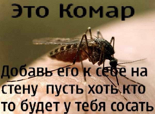 ko1nc's tweet photo. комикс #анекдоты #приколы #юмор Москве #russia Санкт-Петербург России Новосибирске #news #новости russia СНГ ДТП http://t.co/Si6Ssf1Kkt