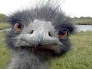 Andrea2Sheehan's tweet photo. Hey Everyone...! 😃 http://t.co/fmX3QD0S53