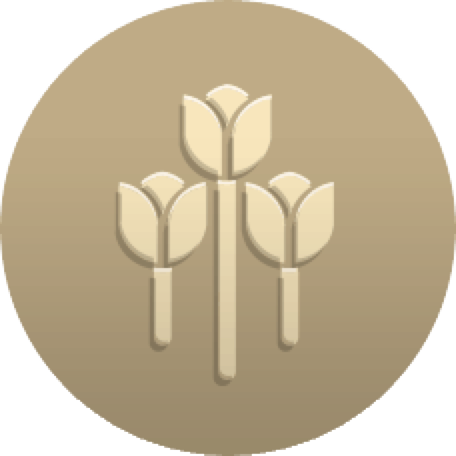 daisygrl92's tweet photo. I'm working towards completing the May Flowers bonus using @IbottaApp. http://t.co/SAQVkzuz1z