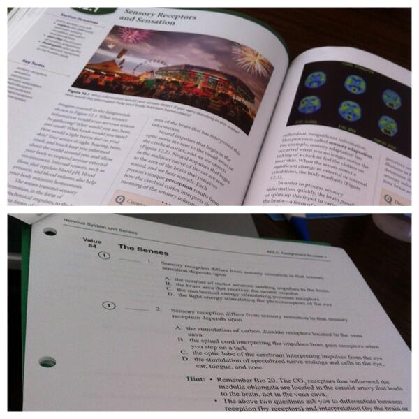 devv__xx's tweet image. #goodbyesociallife #schooling #bio30 😩