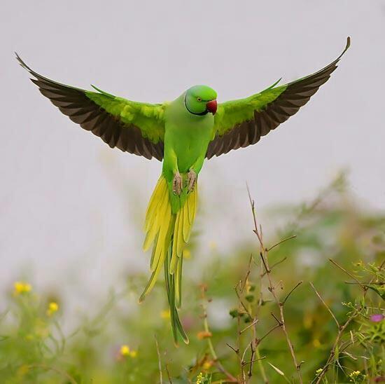  Photography Tweet (@guzeltweets) on Twitter photo 