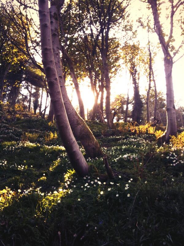 Spring has finally sprung