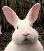 ConigliFanPage's tweet photo. http://t.co/RPnUtFVxaR