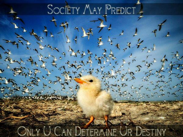 TMT_AWB's tweet photo. Society may predict. Only you can determine your destiny.
https://t.co/TimISLf7oi http://t.co/XJYbDwEW00