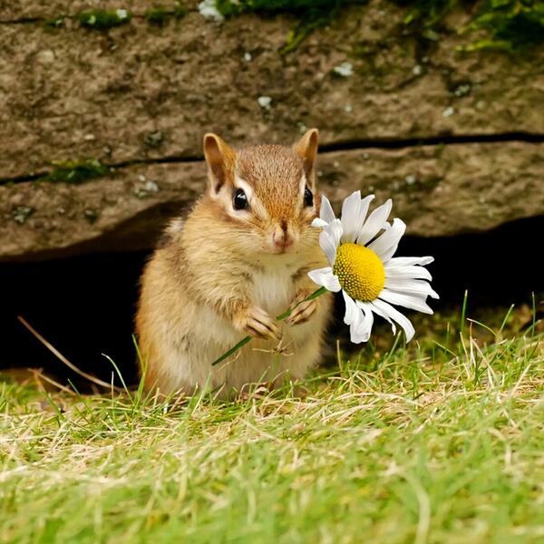  Photography Tweet (@guzeltweets) on Twitter photo 