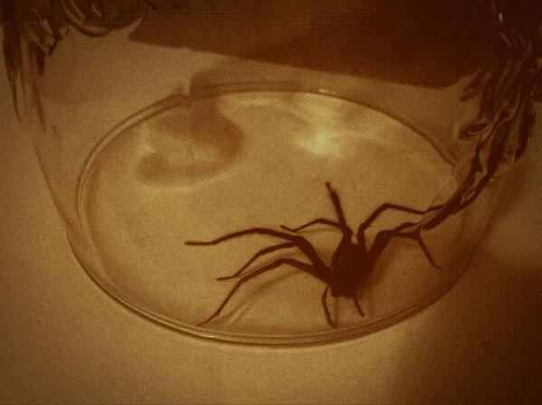 Sarah Bennett tweet media