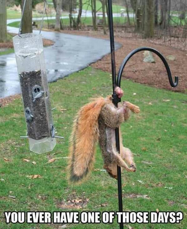 wickedxintent's tweet photo. Yup, Monday's..... http://t.co/nrc1vNLgRH