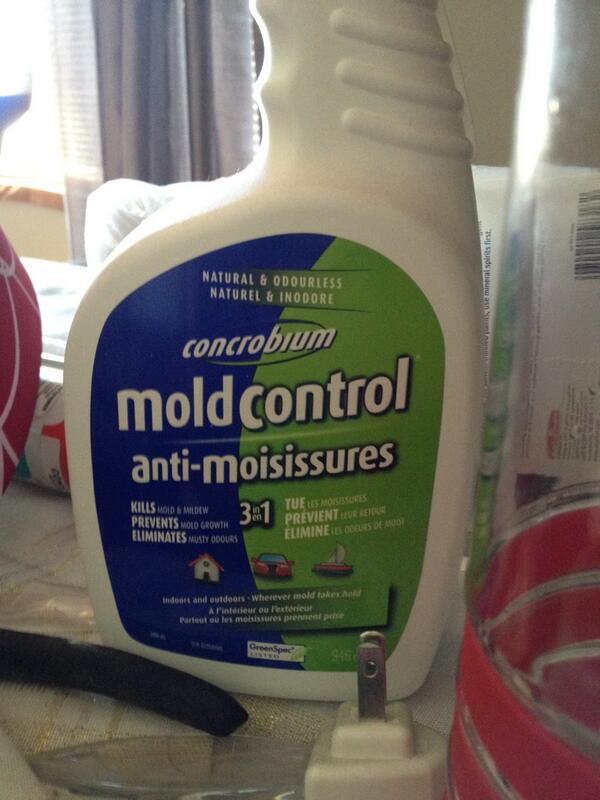 Corbtindall's tweet image. Things you don&apos;t want to see in the place you are renting that is in the middle of renos #moldcontrol