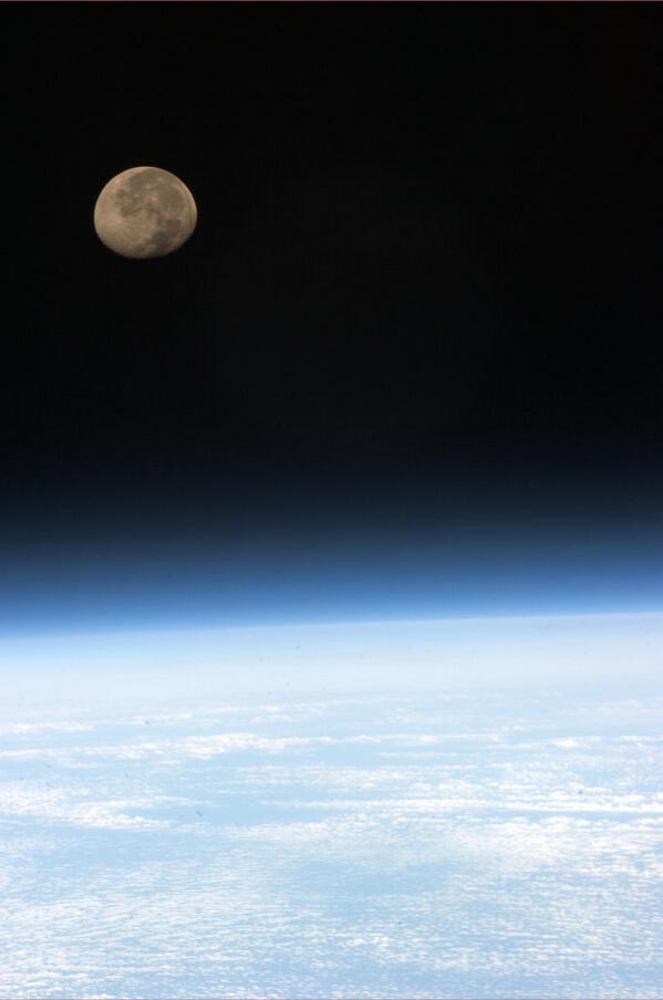 Chris Hadfield tweet media