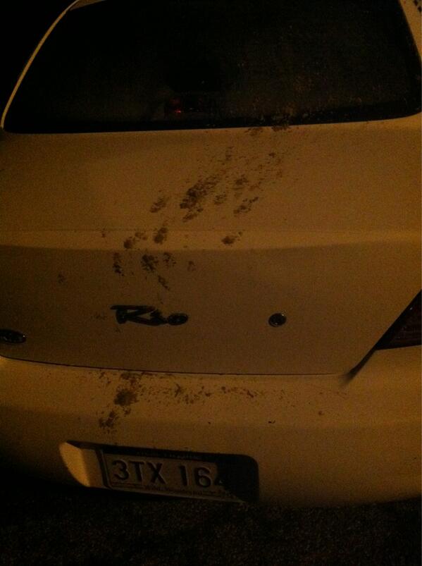 ashleyxnicole22's tweet image. Who the fuck poured brown sugar all over my car?! #justwashedit #bitches