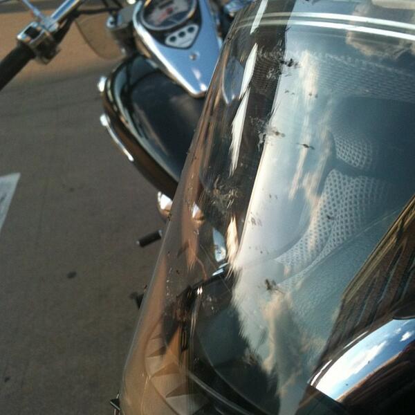 Matt_OSLC's tweet image. Beautiful day for a ride...