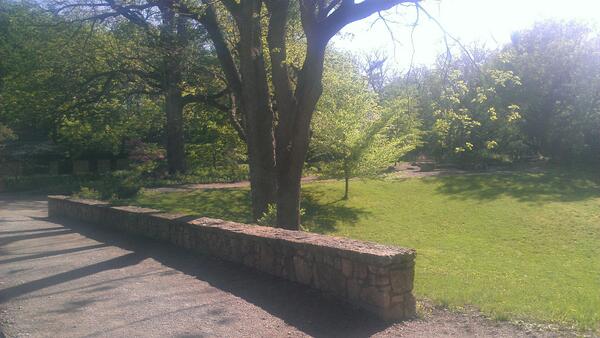Great morning to enjoy the park!