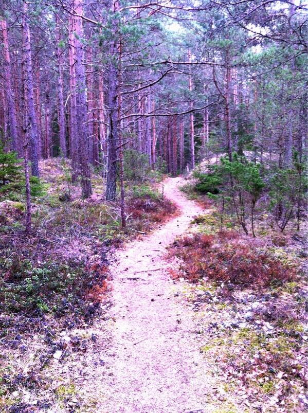 Spetz1973's tweet image. Time for walk❤