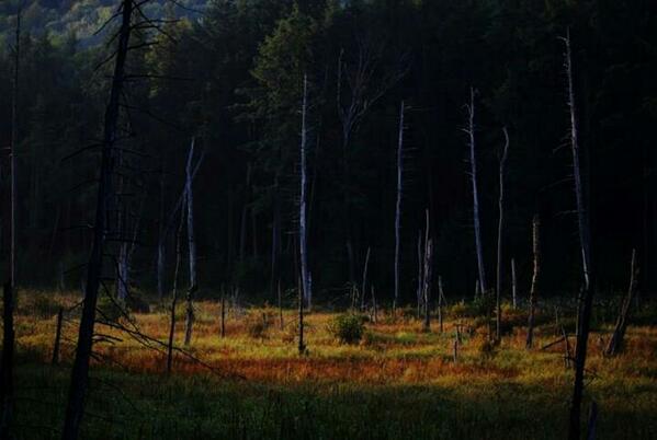 Loving my new D5100.  So looking forward to the hikes this year.  Took this last year with a D3000 <a href="/NikonUSA/">NikonUSA</a>