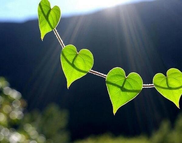  Photography Tweet (@guzeltweets) on Twitter photo 