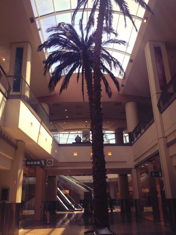 CiriacoWB's tweet image. Green Architecture. Più palme nei centri commerciali. Possibilmente di plastica, così risparmiamo anche l&apos;acqua.#s5m