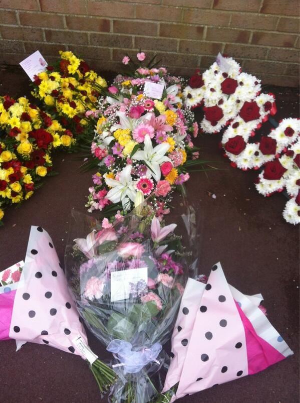 Caley young tweet media