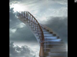 Yg mau ikut sma sya metion saya..,,