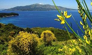 BrianBrian26's tweet image. Europe's last corner: Beaches and beauty in Albania, the hidden bargain of the Ba… #MailOnline bit.ly/15ntwVO