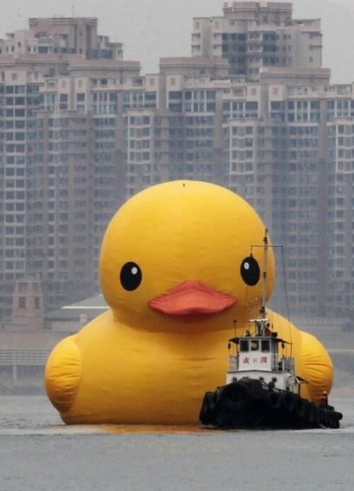 weird_wednesday's tweet photo. #weirdwednesday http://t.co/Femk0HYPbV