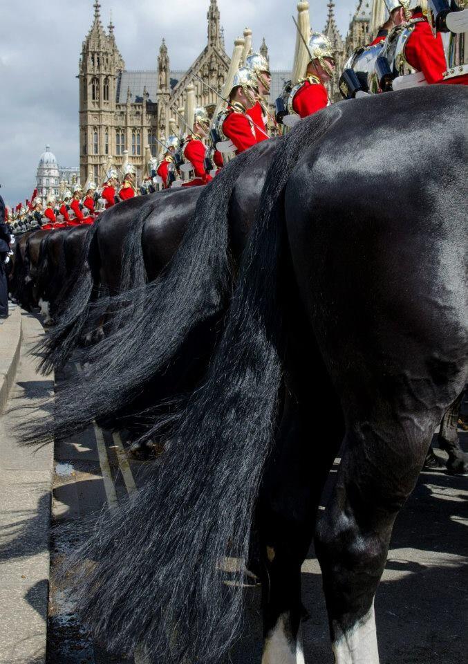 Twitter / HCMRegt: Today HCMR had the honour of ...