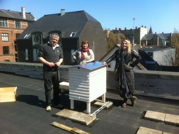Just put the first #bee hive up on the roof of a school in Frederiksberg, Denmark.