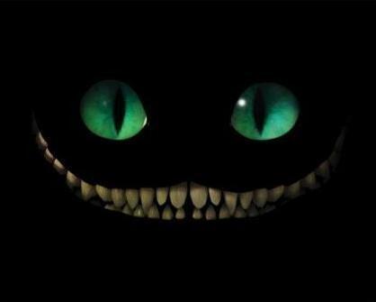 ZeoTheFox's tweet image. I'm going to make a new twitter account