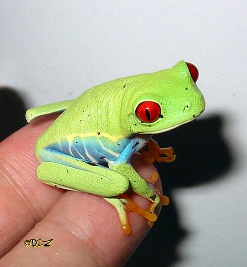 naamaste23's tweet photo. Me encanta mi nuevo bicho joder!! http://t.co/kI5CJTBE2B