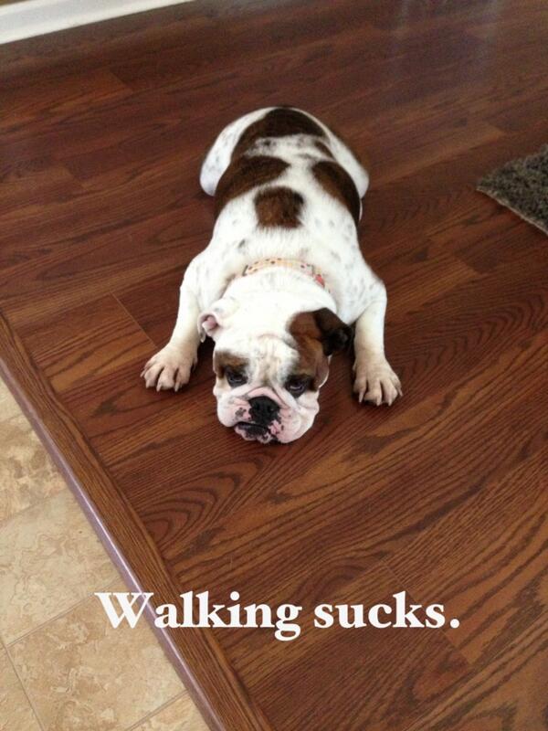 PatMcAfeeShow's tweet photo. http://t.co/h3pJiCJKF9
