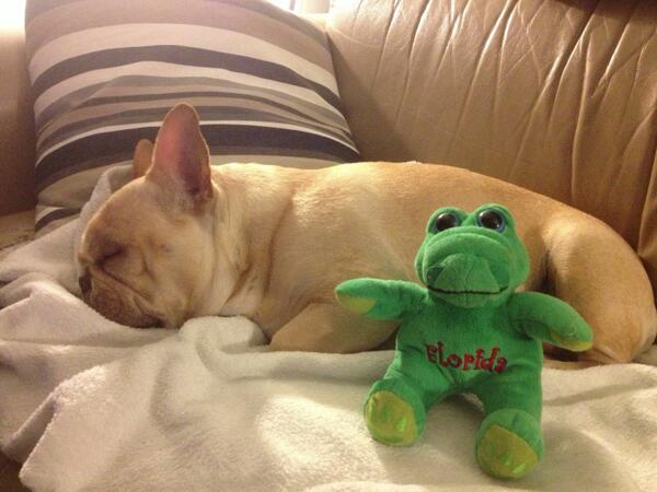 Dolce91206's tweet image. Me !!! Sweet nap