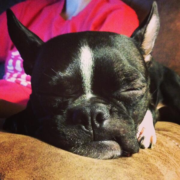 daisy_005's tweet photo. I've had a long day! Nite ya'll!!! http://t.co/Phr6Smr1JH