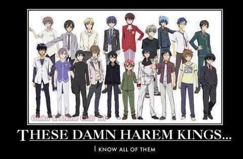Anime Harem Kings