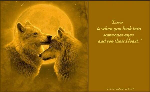 What do you feel?when do you think about Love?