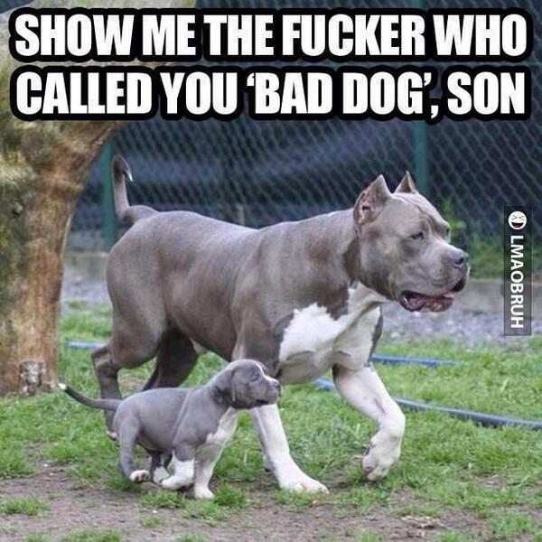 fookthat_3's tweet photo. Haha #heated http://t.co/bvk4SggLwo