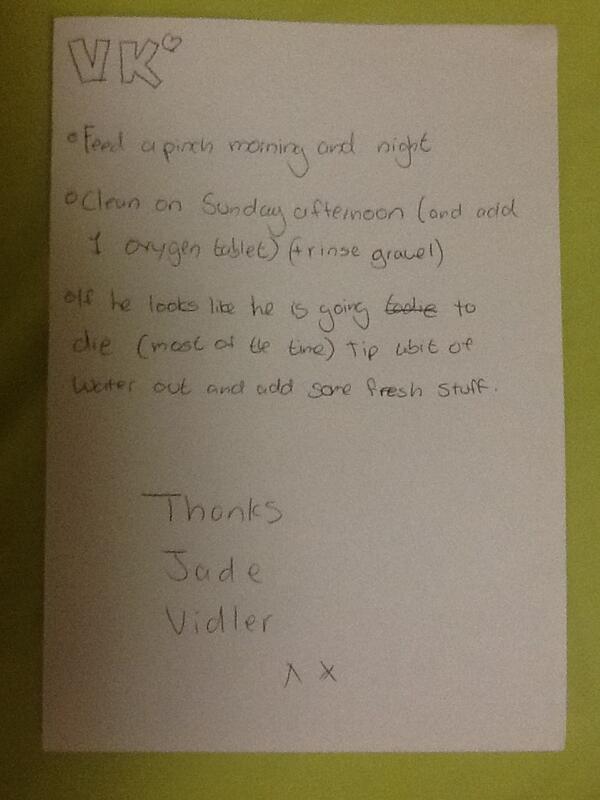 JVidles's tweet image. Fish sitting for the weekend #nottrusted #prayforVK @evierosewilson