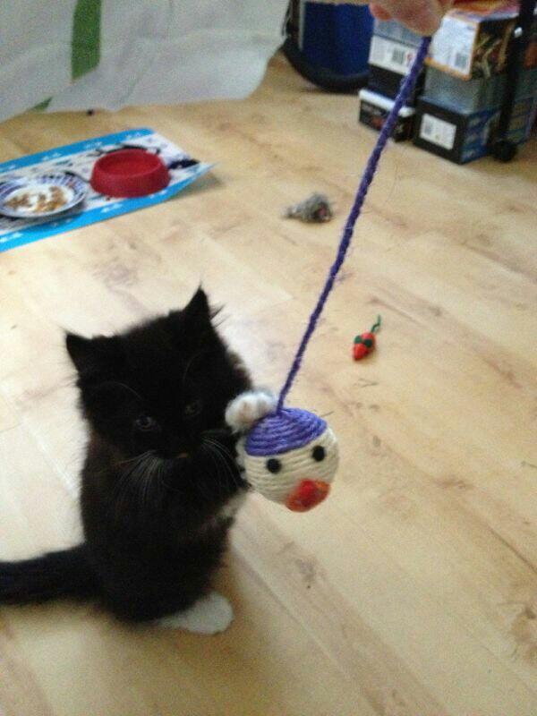 @Evil_Kniamhl Say hi to little George