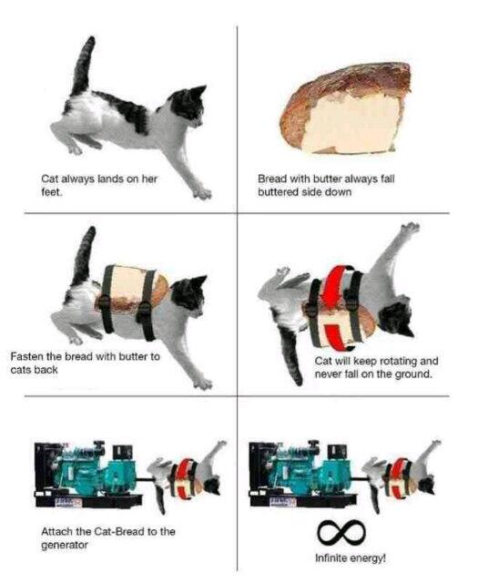 MrAutisticPiano's tweet image. Electric generation #humour #cat #butteredBread #infinitElectricity