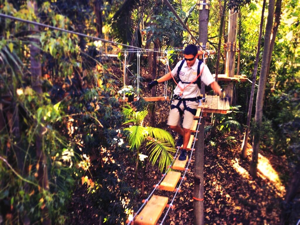 San Diego Zoo Safari Park on Twitter "Pro challenge Jungle Ropes