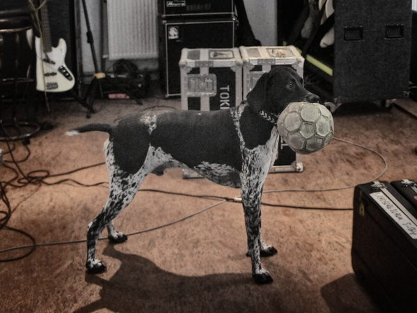 Enlace permanente de imagen incrustada