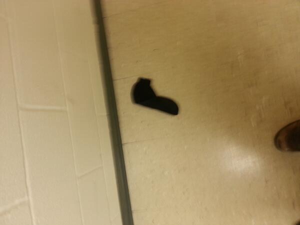 Alleyshrimp. tweet media