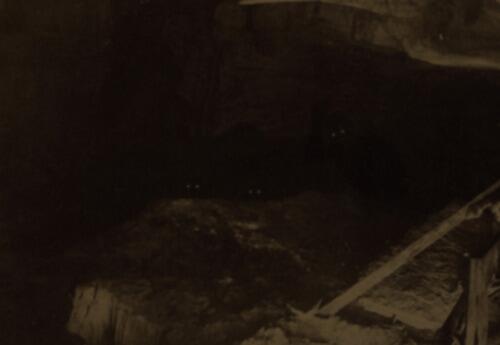 Creepypasta tweet media