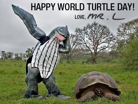 mrleatherback's tweet photo. Happy #WorldTurtleDay everyone! How are you celebrating? http://t.co/g3ncmyBoJH